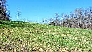 Land for Sale / 1 Grices Creek Rd ,Cumberland City, TN 37050 Interior 87581