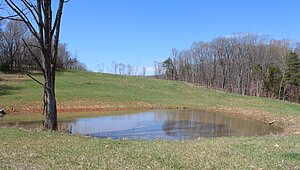 Land for Sale / 1 Grices Creek Rd ,Cumberland City, TN 37050 Interior 87580