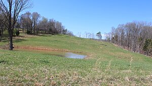 Land for Sale / 1 Grices Creek Rd ,Cumberland City, TN 37050 Interior 87579