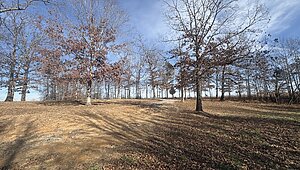 Land for Sale / 379 Seven Mile Ridge Rd, Indian Mound, TN 37079 Interior 87588