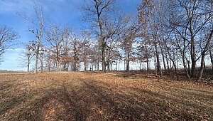Land for Sale / 379 Seven Mile Ridge Rd, Indian Mound, TN 37079 Interior 87586