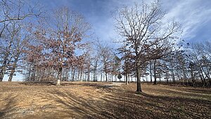 Land for Sale / 379 Seven Mile Ridge Rd, Indian Mound, TN 37079 Interior 87590