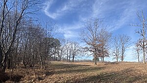 Land for Sale / 379 Seven Mile Ridge Rd, Indian Mound, TN 37079 Interior 87591