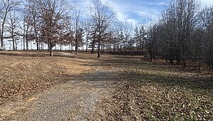 Land for Sale / 379 Seven Mile Ridge Rd, Indian Mound, TN 37079 Interior 87589