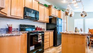 Peter's Homes / The Glacier Bay Kitchen 3563