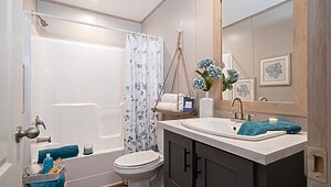 Epic Journey / Desoto 43CEJ28483AH Bathroom 117471