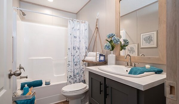 Epic Journey / Desoto 43CEJ28483AH Bathroom 117471