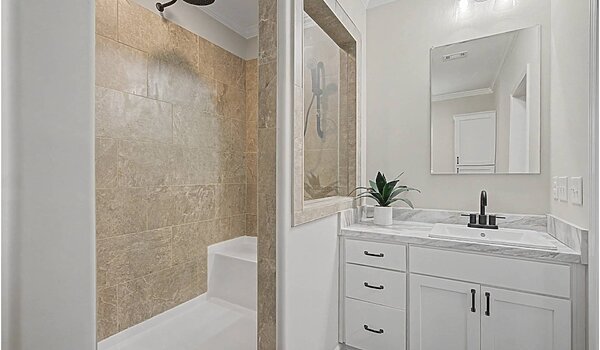 Signature Series / The Haven 2 Story DVHBSS-4501C Bathroom 126030