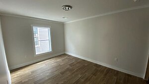 Disciple Series / The Phillip Interior 123441