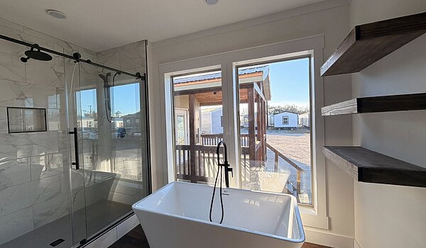 Disciple Series / The King David 64 Interior 121031