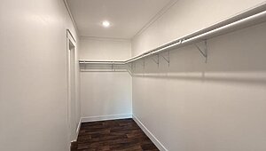 Disciple Series / The King David 64 Interior 121034