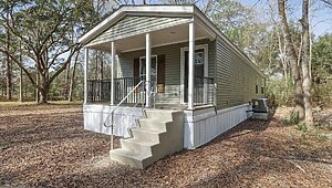 Disciple Series / The Simon Interior 122208