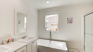 Disciple Series / The Matthew Interior 119815