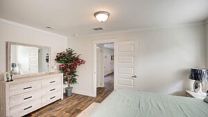 Disciple Series / The Matthew Interior 119811