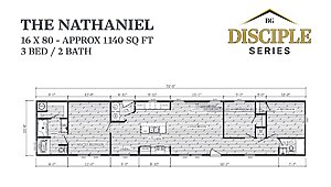 Disciple Series / The Nathaniel Layout 113554