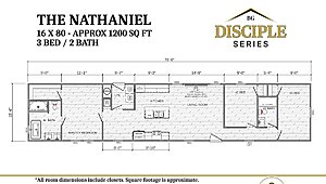Disciple Series / The Nathaniel Layout 113554