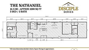 Disciple Series / The Nathaniel Layout 113554