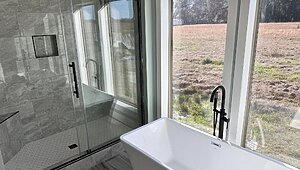 Disciple Series / King David 80 Interior 121025