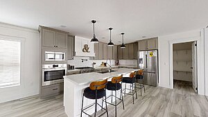 Disciple Series / The King David 76 Interior 121398