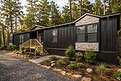 Disciple Series / The Bethel Exterior 128517