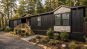 Disciple Series / The Bethel Exterior 128517