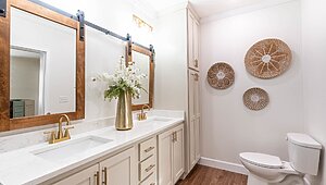 Disciple Series / The Bethel Bathroom 126316