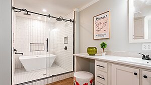 Disciple Series / The Jeremiah Bathroom 149043