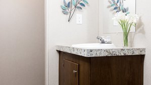 TRU Single Section / Glory (Smart Panel) Bathroom 14737