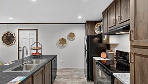 Essence / Rainier 27505 Interior 121715