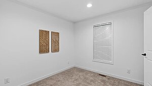 Ovation Alpha / Aura 28664A Interior 127020