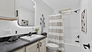 Ovation Alpha / Aura 28664A Interior 127026