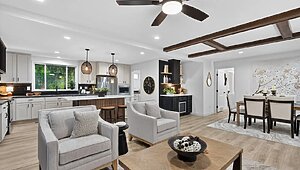 Ovation Alpha / Aura 28664A Interior 127008