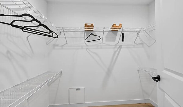 Ovation Alpha / Aura 28664A Interior 127028