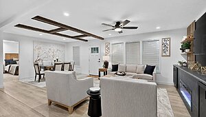 Ovation Alpha / Aura 28664A Interior 127009