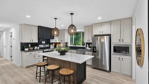 Ovation Alpha / Aura 28664A Interior 127011