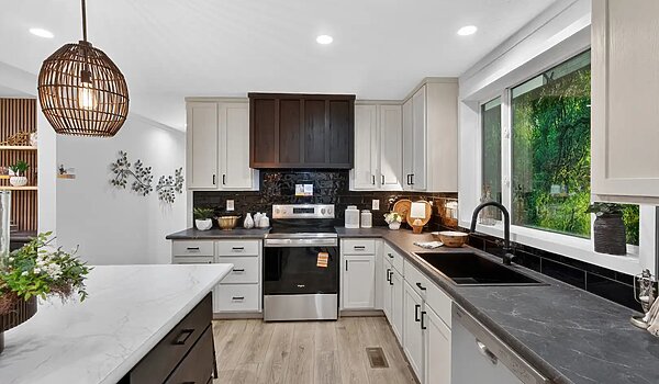 Ovation Alpha / Aura 28664A Interior 127012