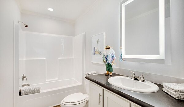 Diamond Series / Hope R76E Interior 119012