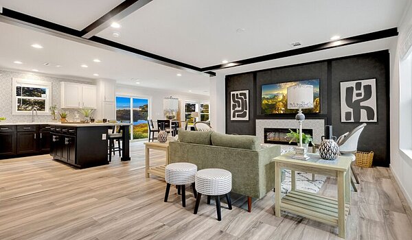 Diamond Series / Hope R76E Interior 119001