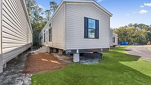 Classic Oak / Ace Exterior 145797