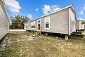 Classic Oak / Assassin Exterior 145832