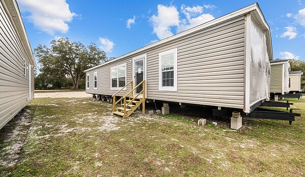 Classic Oak / Assassin Exterior 145832