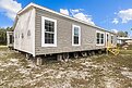 Classic Oak / Assassin Exterior 145836