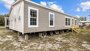 Classic Oak / Assassin Exterior 145836