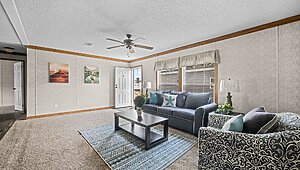 Classic Oak / Assassin Interior 145856