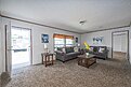 Runner SS Series / Curry Interior 146251