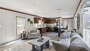 Runner Series / Dash Interior 146239