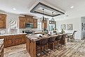 Painted Sheetrock / Dogwood Kitchen 146216