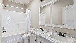 Painted Sheetrock / Dogwood Bathroom 146324