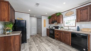 Runner SS Series / Earnhardt Kitchen 146252