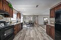 Runner SS Series / Earnhardt Kitchen 146266